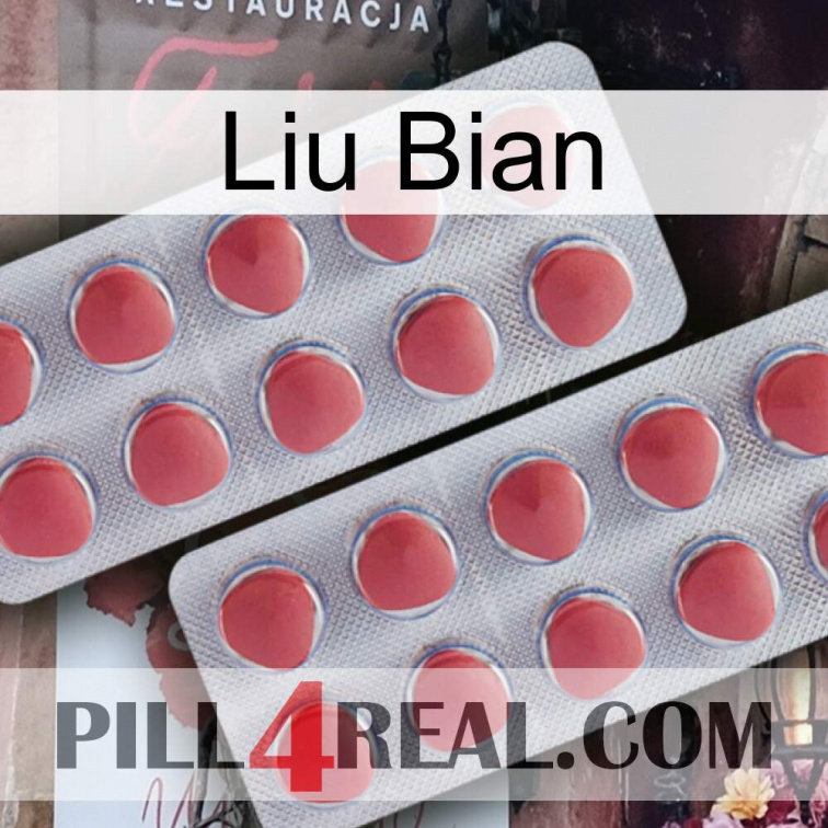 Liu Bian 19